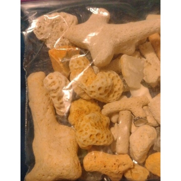 Corals and Beach Gems - Picture 5 of 7